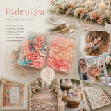 Dreamy Tone & Champagne Tone Gradient Preserved Hydrangea Wax Slice Craft Supply 2 Pack In Australia - Darrahopens
