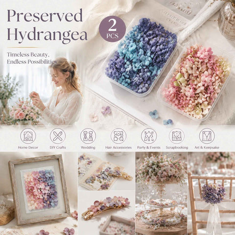 Blue Purple Shade & Taro Purple Gradient Preserved Hydrangea DIY Craft Flower Pack of 2 In Australia - Darrahopens