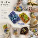 Blue Purple Shade & Hibiscus Tone Preserved Hydrangea Wedding Handmade Material Set of 2 In Australia - Darrahopens