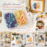 Blue Purple Shade & Soft Jade Tone Preserved Hydrangea Gradient Floral DIY Pack 2 Boxes In Australia - Darrahopens