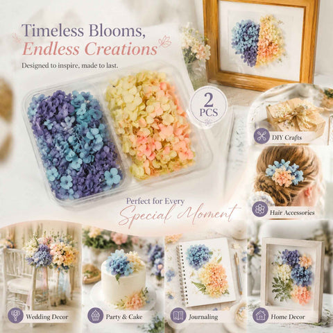 Blue Purple Shade & Soft Jade Tone Preserved Hydrangea Gradient Floral DIY Pack 2 Boxes In Australia - Darrahopens