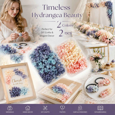 Blue Purple Shade & Champagne Tone Gradient Preserved Hydrangea Scented Candle Supply 2 Boxes In Australia - Darrahopens