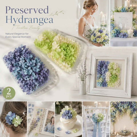 Blue Purple Shade & Pale Green Champagne Preserved Hydrangea Frame Craft Material Set of 2 In Australia - Darrahopens