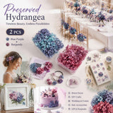 Blue Purple Shade & Purple Cloud Gradient Preserved Hydrangea Bulk DIY Floral Kit 2 Pack In Australia - Darrahopens