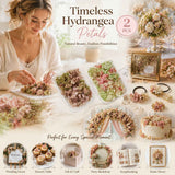 Agate Blue & Warm Mixed Shade Preserved Hydrangea DIY Craft Dried Flower Pack of 2 Boxes In Australia - Darrahopens