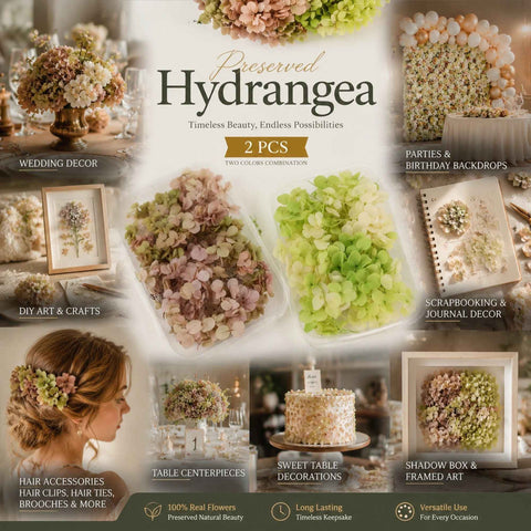 Agate Blue & Pale Green Champagne Gradient Preserved Hydrangea Bouquet Supply 2 Pack In Australia - Darrahopens