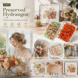 Warm Mixed Shade & Violet Pink Gradient Preserved Hydrangea Resin Craft Kit Set of 2 In Australia - Darrahopens