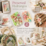 Warm Mixed Shade & Modern Mixed Shade Gradient Hydrangea Preserved Flower Fan Kit 2 Boxes In Australia - Darrahopens