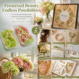 Warm Mixed Shade & Pale Green Champagne Preserved Hydrangea Frame DIY Set of 2 Boxes In Australia - Darrahopens