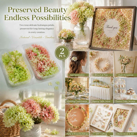 Warm Mixed Shade & Pale Green Champagne Preserved Hydrangea Frame DIY Set of 2 Boxes In Australia - Darrahopens