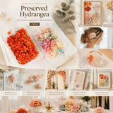 Violet Pink & Modern Mixed Shade Gradient Hydrangea Resin Ornament Material 2 Boxes In Australia - Darrahopens