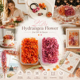 Violet Pink & Purple Cloud Gradient Preserved Hydrangea Wedding Gift Supply 2 Pack In Australia - Darrahopens