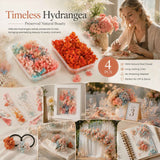 Dreamy Tone & Violet Pink Preserved Hydrangea Fan Craft DIY Accessory Set of 4 In Australia - Darrahopens