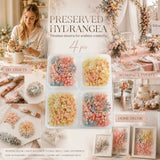 Dreamy Tone & Soft Jade Tone Preserved Hydrangea Interior Decor Floral Pack of 4 In Australia - Darrahopens