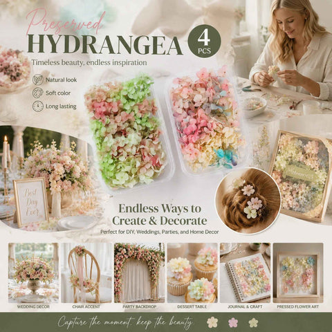 Warm Mixed Shade & Modern Mixed Shade Gradient Hydrangea Fan Decor Preserved Flower Kit 4 Boxes In Australia - Darrahopens