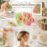 Warm Mixed Shade & Champagne Tone Preserved Hydrangea Wedding Styling Craft Supply 4 Pack In Australia - Darrahopens