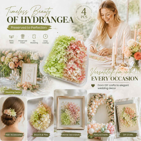 Warm Mixed Shade & Pale Green Champagne Preserved Hydrangea Frame DIY Bulk Set of 4 Boxes In Australia - Darrahopens