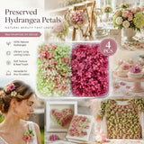 Warm Mixed Shade & Purple Cloud Gradient Preserved Hydrangea Resin Ornament Large Pack 4 In Australia - Darrahopens
