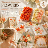 Violet Pink & Soft Jade Tone Preserved Hydrangea Scented Wax Studio Craft Supply Pack of 4 In Australia - Darrahopens