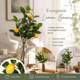 Style B Faux Lemon Garland Orchard Landscape Artificial Greenery In Australia - Darrahopens