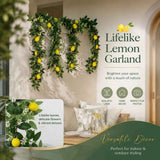 Style B Faux Lemon Garland Foam Lemon Balcony Wall Decor In Australia - Darrahopens
