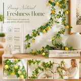 Multipurpose Artificial Lemon Vine Foam Fruit Decorative Greenery In Australia - Darrahopens