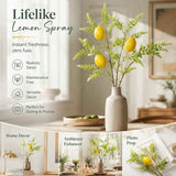 Single Lemon Stem-08 Foam Lemon Artificial Greenery Accessory In Australia - Darrahopens