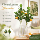 Style A Artificial Lemon Vine Foam Fruit Home Garden Kit 2 Pack In Australia - Darrahopens