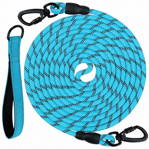 Large Dog Leash Sky Blue