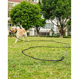 Large Dog Leash Sky Blue