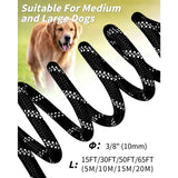 Large Dog Leash Orange 01
