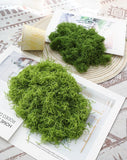 50g Dark Green Artificial Moss