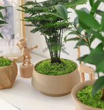 50g Dark Green Artificial Moss