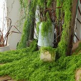 50g Light Green Artificial Moss