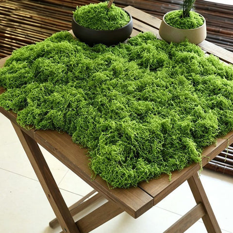100g Light Green Artificial Moss