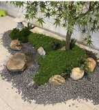 100g Light Green Artificial Moss