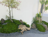 200g Dark Green Artificial Moss