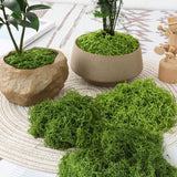 200g Light Green Artificial Moss