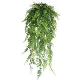 5-Fork Persian Fern Hanging Vine 3 pieces In Australia - Darrahopens