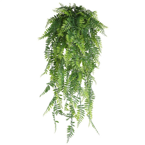 5-Fork Persian Fern Hanging Vine 3 pieces In Australia - Darrahopens