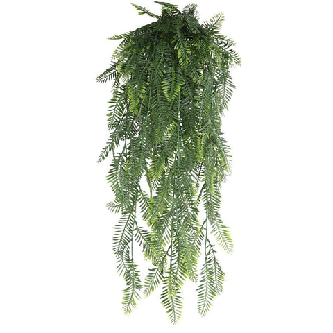 5-Fork Pteris Hanging Vine 3 pieces In Australia - Darrahopens