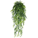 5-Fork Boston Ivy Hanging Vine 3 pieces In Australia - Darrahopens
