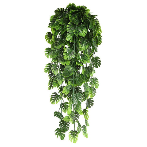 5-Fork Mini Monstera Wall Hanging Vine 3 pieces In Australia - Darrahopens