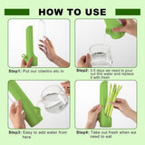 4Pcs Herb & Vegetable Fresh Storage Containers-White
