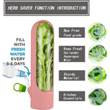 4Pcs Herb & Vegetable Fresh Storage Containers-White