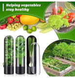 4Pcs Herb & Vegetable Fresh Storage Containers-Black