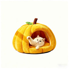 Pet Care