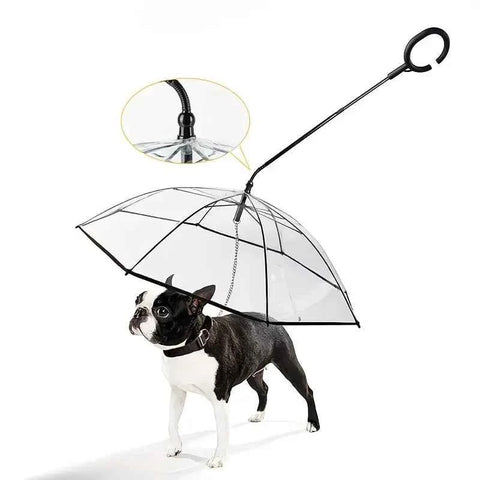 Bendable transparent pet umbrella with leash chain, rain or shine, one umbrella for outdoor pet walks