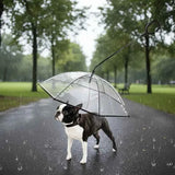 Bendable transparent pet umbrella with leash chain, rain or shine, one umbrella for outdoor pet walks