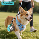 Portable Stainless Steel Cat & Dog Water Bottle, Leak-Proof 2-in-1 with Bowl, One-Press Drink & Feed for Outdoor Walks & Travel, Lightweight & Easy to Carry, Pet Essential./PINK